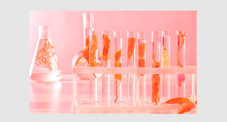 草本植物活性物質(zhì)提取